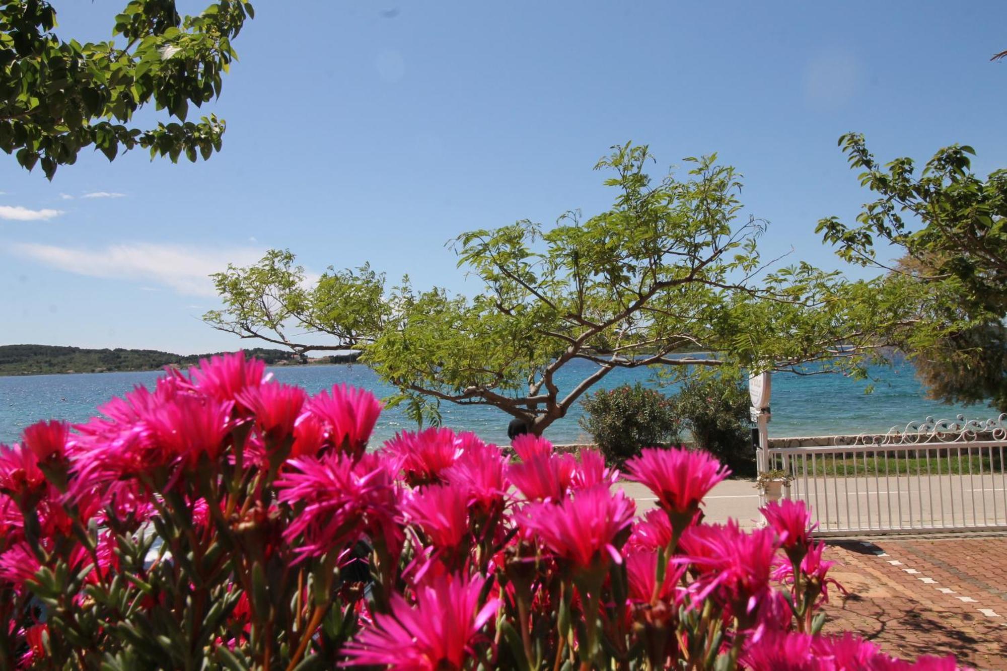 Villa Aurelia Vodice Ngoại thất bức ảnh